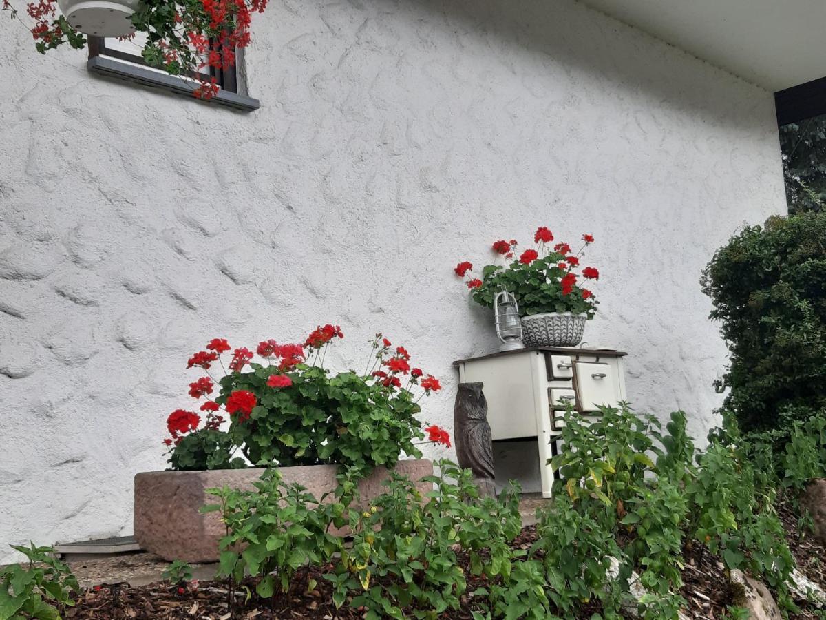 Ferienapartment Karle Nordrach エクステリア 写真